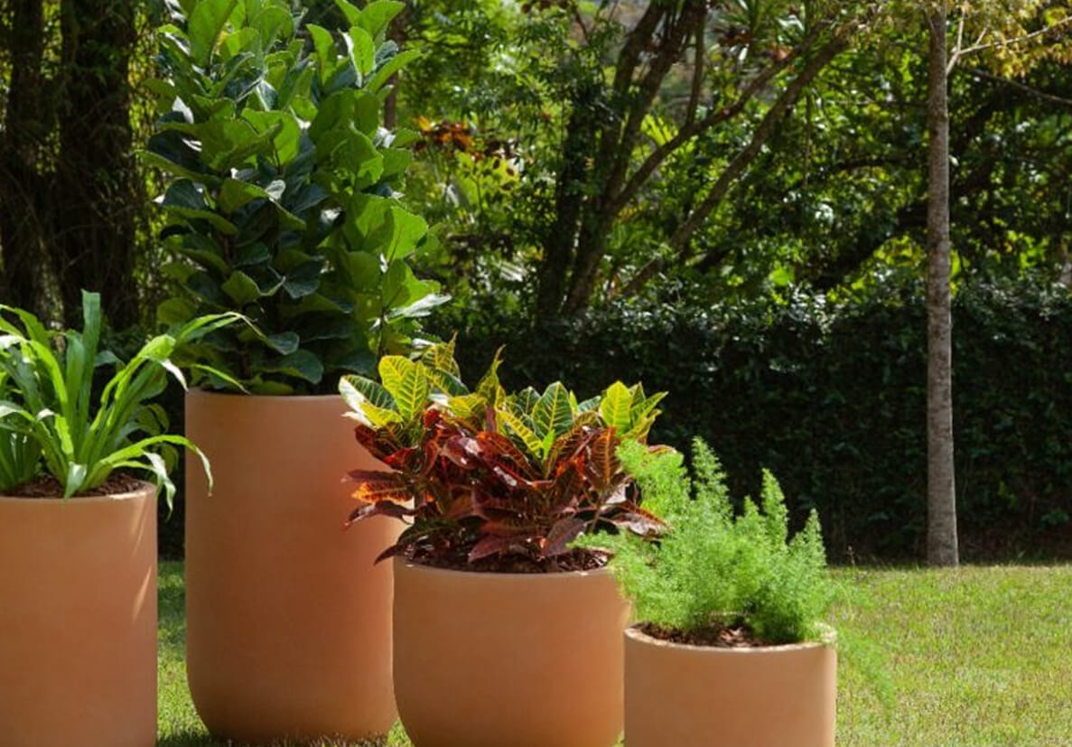 Como escolher cachepôs e vasos para suas plantas
